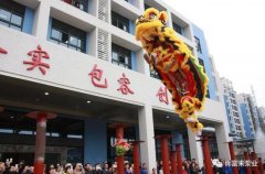 醒狮贺岁，半岛web版登录入口-半岛online(中国)2019年开工大吉